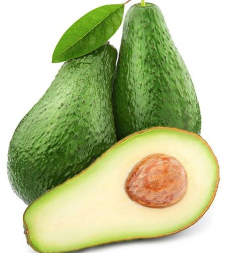fuerte avocado